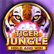 Cấp Độ VIP Kim Cương appn188 link vào